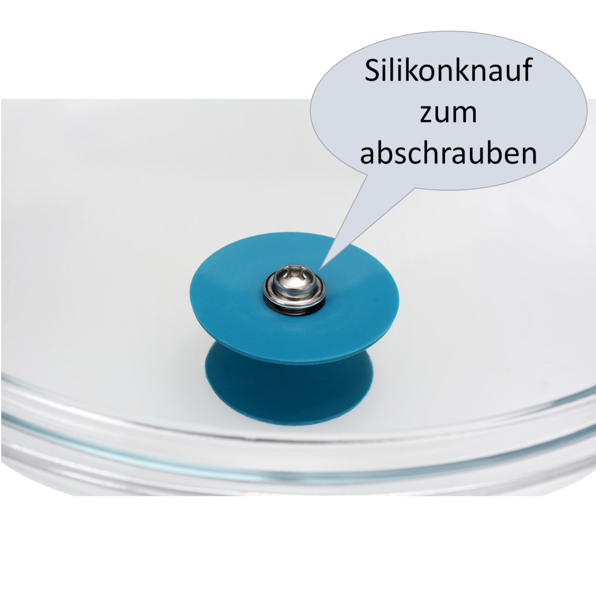 Ganz Glasdeckel 20 cm